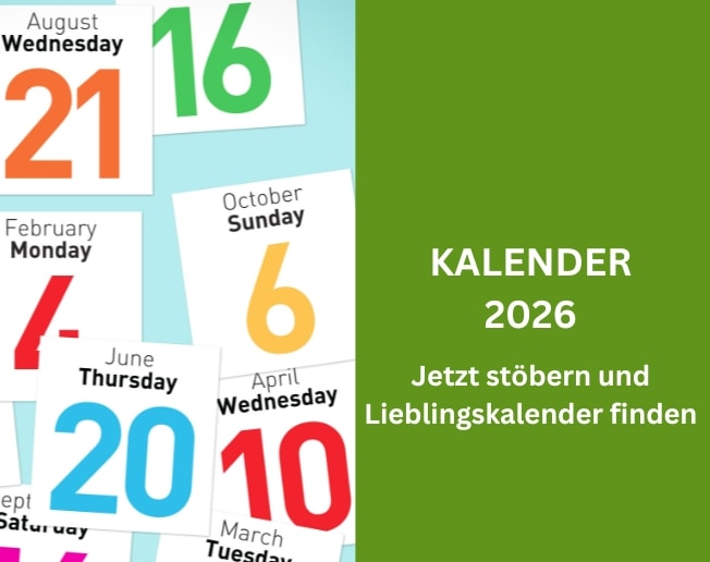 Auf der Grafik sieht man Buchstaben. Per Klick landet man bei Büchern zum Thema Schulstart.